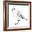 Hand-Drawn Robin-aggressor-Framed Premium Giclee Print