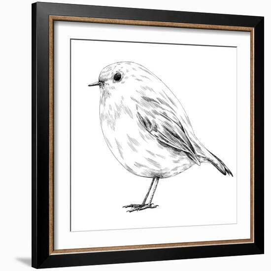 Hand-Drawn Robin-aggressor-Framed Premium Giclee Print