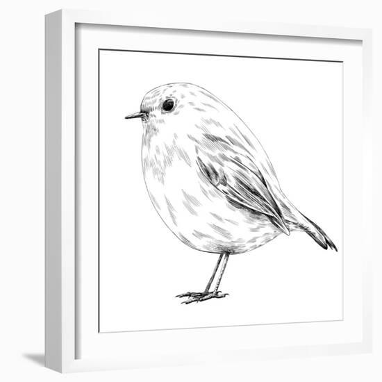 Hand-Drawn Robin-aggressor-Framed Premium Giclee Print