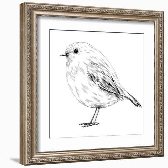 Hand-Drawn Robin-aggressor-Framed Art Print