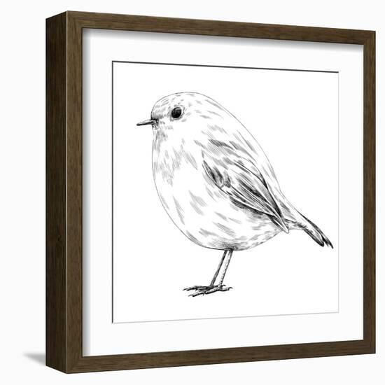 Hand-Drawn Robin-aggressor-Framed Art Print