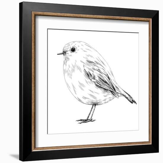 Hand-Drawn Robin-aggressor-Framed Art Print