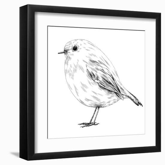 Hand-Drawn Robin-aggressor-Framed Art Print