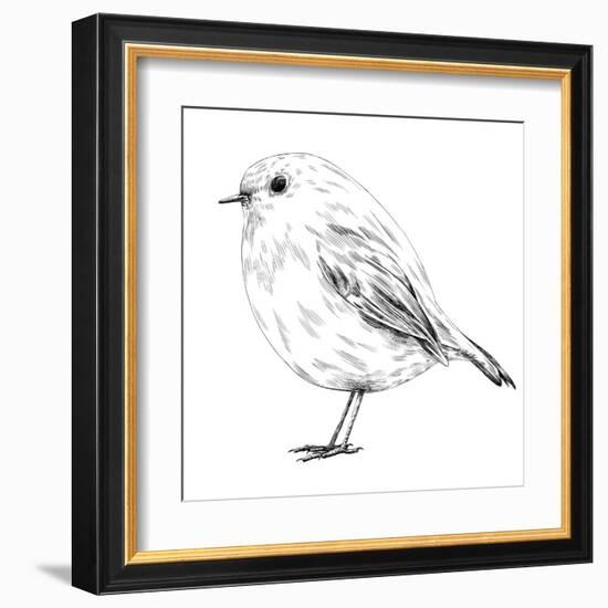 Hand-Drawn Robin-aggressor-Framed Art Print