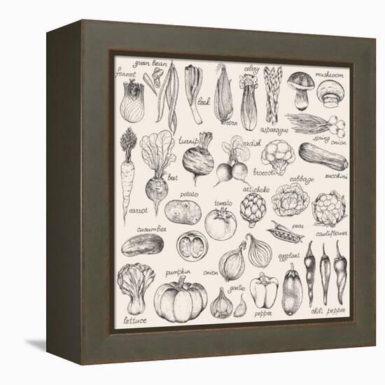 Hand-Drawn Vegetables-Nikiparonak-Framed Stretched Canvas