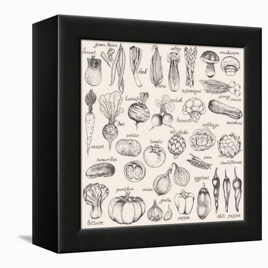 Hand-Drawn Vegetables-Nikiparonak-Framed Stretched Canvas
