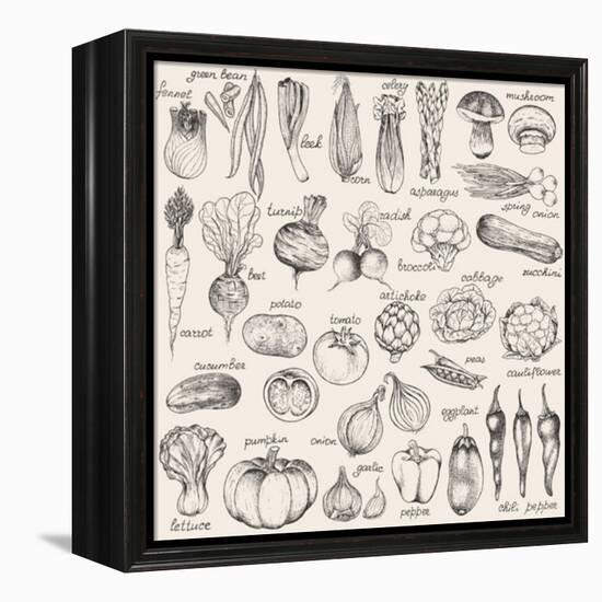 Hand-Drawn Vegetables-Nikiparonak-Framed Stretched Canvas