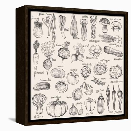 Hand-Drawn Vegetables-Nikiparonak-Framed Stretched Canvas