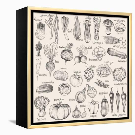 Hand-Drawn Vegetables-Nikiparonak-Framed Stretched Canvas