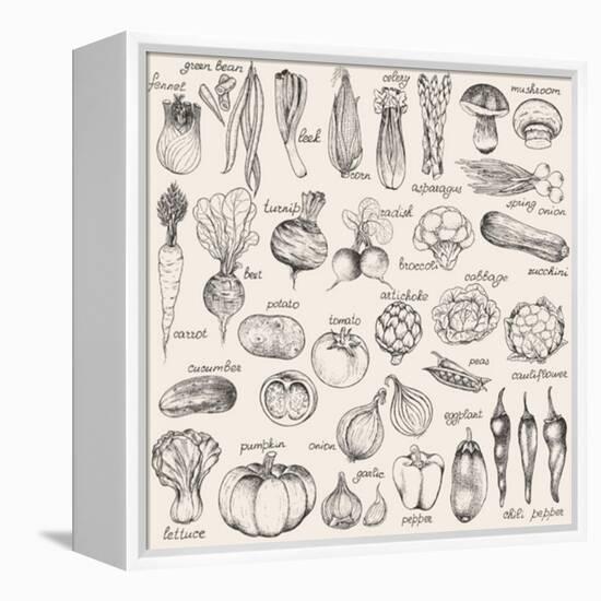 Hand-Drawn Vegetables-Nikiparonak-Framed Stretched Canvas