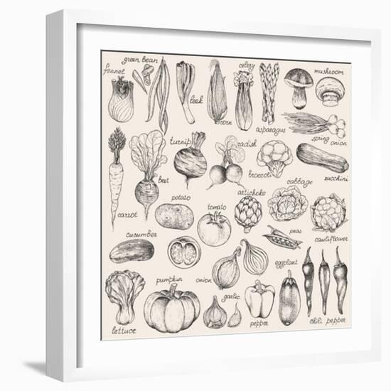 Hand-Drawn Vegetables-Nikiparonak-Framed Premium Giclee Print