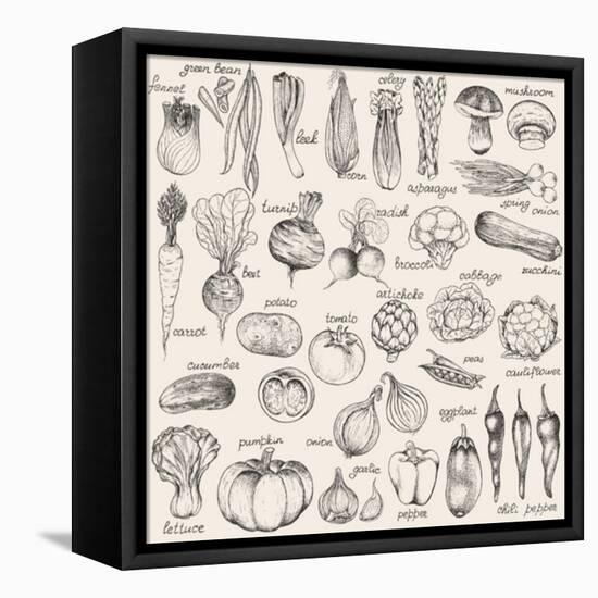 Hand-Drawn Vegetables-Nikiparonak-Framed Stretched Canvas