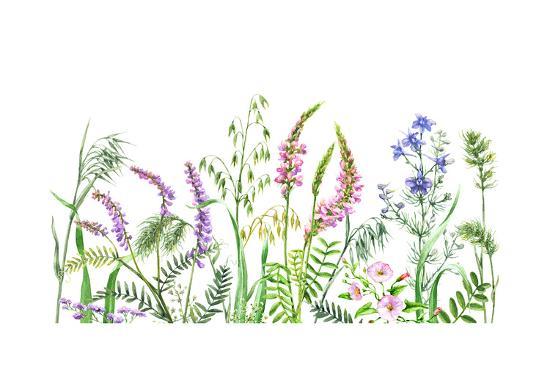 Hand Drawn Wild Flowers Watercolor Wildflowers On White Background Color Floral Border Art Print Val Iva Art Com Hand Drawn Wild Flowers Watercolor Wildflowers On White Background Color Floral Border Art Print Val Iva Art Com