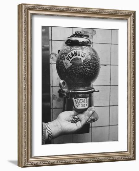 Hand Full of Peanuts For a Penny-Nina Leen-Framed Photographic Print