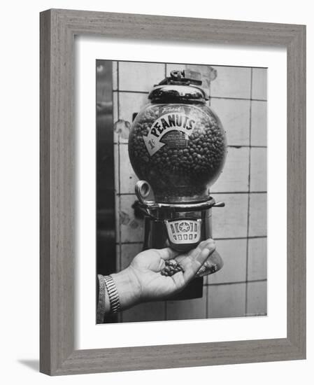 Hand Full of Peanuts For a Penny-Nina Leen-Framed Photographic Print