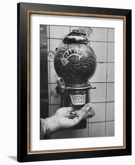 Hand Full of Peanuts For a Penny-Nina Leen-Framed Photographic Print