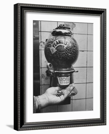 Hand Full of Peanuts For a Penny-Nina Leen-Framed Photographic Print