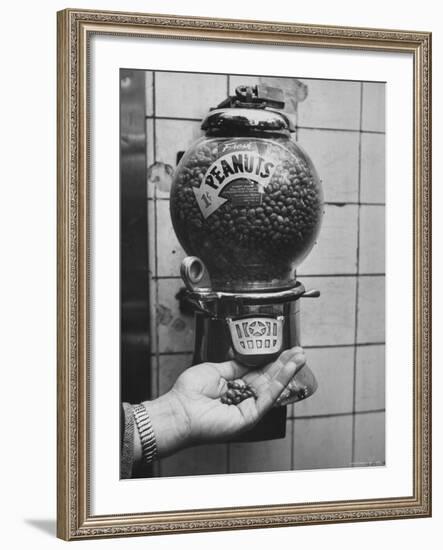 Hand Full of Peanuts For a Penny-Nina Leen-Framed Photographic Print