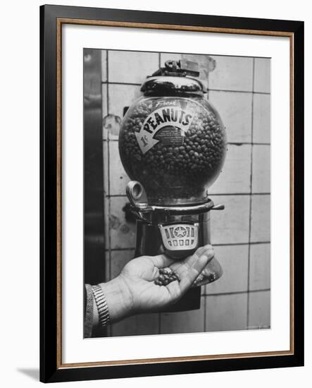 Hand Full of Peanuts For a Penny-Nina Leen-Framed Photographic Print