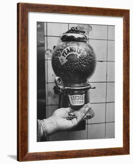 Hand Full of Peanuts For a Penny-Nina Leen-Framed Photographic Print