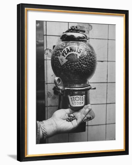 Hand Full of Peanuts For a Penny-Nina Leen-Framed Photographic Print