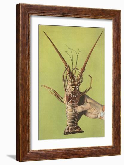 Hand Holding Lobster-null-Framed Art Print