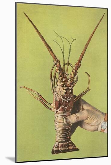 Hand Holding Lobster-null-Mounted Art Print