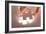 Hand Holding Puzzle Piece-maksheb-Framed Art Print