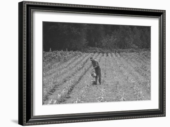 Hand Irrigation on Small Rented Subsistence Farm.-Dorothea Lange-Framed Art Print