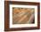 Hand Made Bricks Laid Out on the Ground to Dry before Baking, Northeast of Jaipur, Rajasthan, India-Annie Owen-Framed Photographic Print