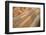 Hand Made Bricks Laid Out on the Ground to Dry before Baking, Northeast of Jaipur, Rajasthan, India-Annie Owen-Framed Photographic Print