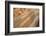 Hand Made Bricks Laid Out on the Ground to Dry before Baking, Northeast of Jaipur, Rajasthan, India-Annie Owen-Framed Photographic Print