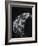 Hand of a Woman in Her Eighties, 2007-Stephen Finer-Framed Giclee Print