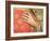 Hand of Saint Stephen-Giotto di Bondone-Framed Giclee Print