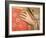 Hand of Saint Stephen-Giotto di Bondone-Framed Giclee Print