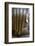 Hand of the Phra Achana Buddha Figure-Alex Robinson-Framed Photographic Print