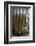 Hand of the Phra Achana Buddha Figure-Alex Robinson-Framed Photographic Print