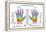 Hand Reflexology Chart Description-Peter Hermes Furian-Framed Stretched Canvas