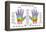 Hand Reflexology Chart Description-Peter Hermes Furian-Framed Stretched Canvas