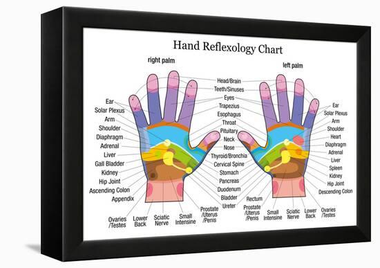 Hand Reflexology Chart Description-Peter Hermes Furian-Framed Stretched Canvas