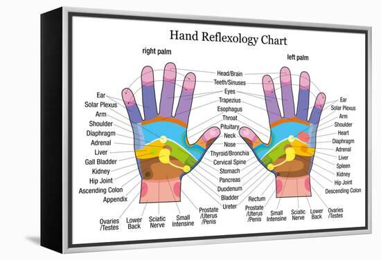 Hand Reflexology Chart Description-Peter Hermes Furian-Framed Stretched Canvas