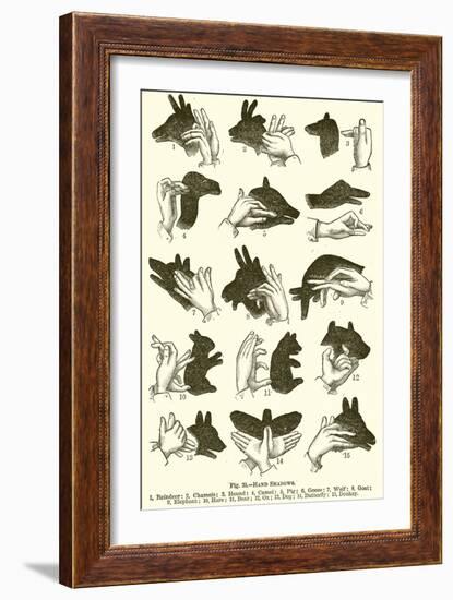 Hand Shadows-null-Framed Giclee Print