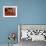 Hand shaped handles in brown door, Spain-Panoramic Images-Framed Photographic Print displayed on a wall