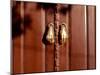 Hand shaped handles in brown door, Spain-Panoramic Images-Mounted Photographic Print