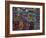 Hand-Stitched Molas, Kuna Indian, San Blas Islands, Panama-Cindy Miller Hopkins-Framed Photographic Print