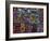 Hand-Stitched Molas, Kuna Indian, San Blas Islands, Panama-Cindy Miller Hopkins-Framed Photographic Print