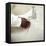 Hand Washing-Ian Boddy-Framed Premier Image Canvas