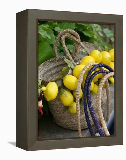 Handbag with Lemons, Positano, Amalfi Coast, Campania, Italy-Walter Bibikow-Framed Premier Image Canvas