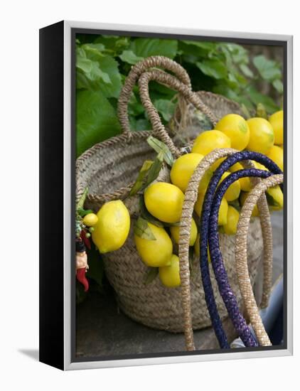 Handbag with Lemons, Positano, Amalfi Coast, Campania, Italy-Walter Bibikow-Framed Premier Image Canvas