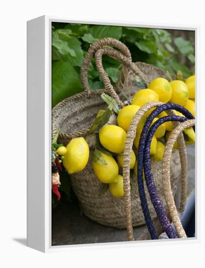 Handbag with Lemons, Positano, Amalfi Coast, Campania, Italy-Walter Bibikow-Framed Premier Image Canvas